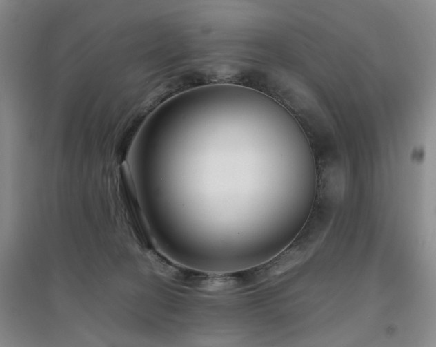 X0000094430274200711151348