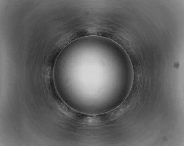 X0000094430275200711151348