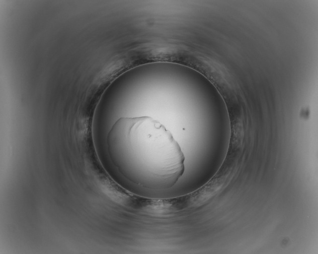 X0000094430278200711151348