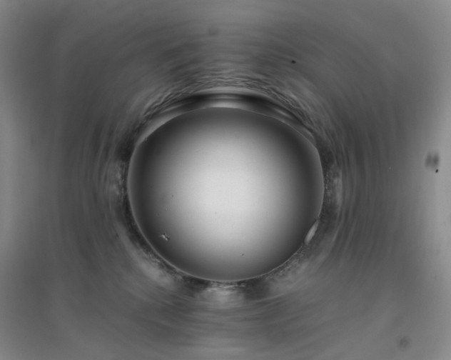 X0000094430280200711151349