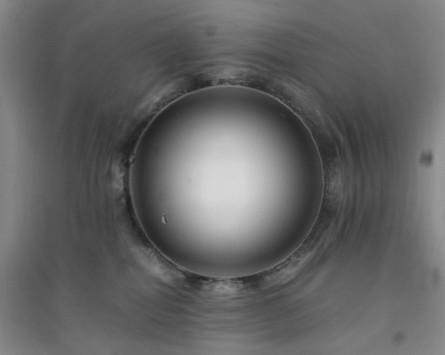 X0000094430282200711151349