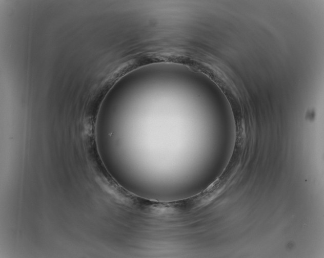 X0000094430284200711151349