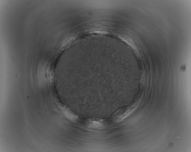 X0000094430285200711151349