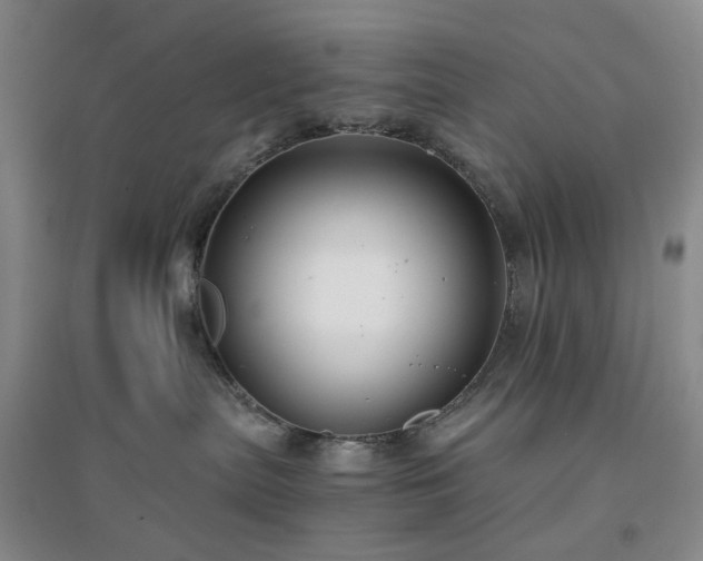 X0000094430287200711151349