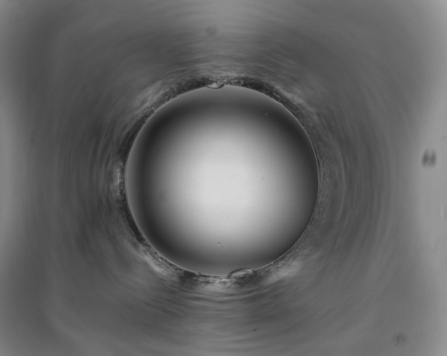 X0000094430288200711151349