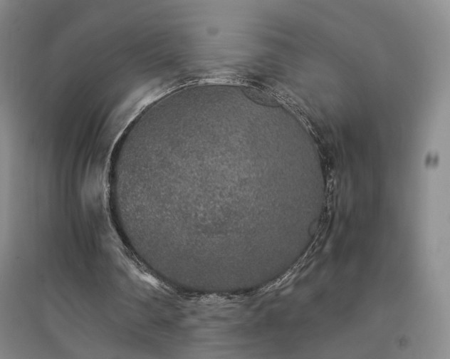 X0000094430290200711151348