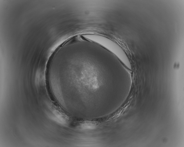 X0000094430292200711151348