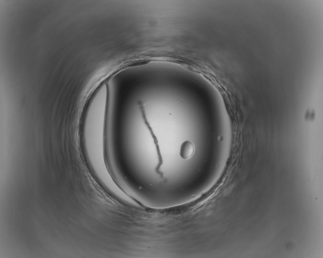 X0000094430293200711151348