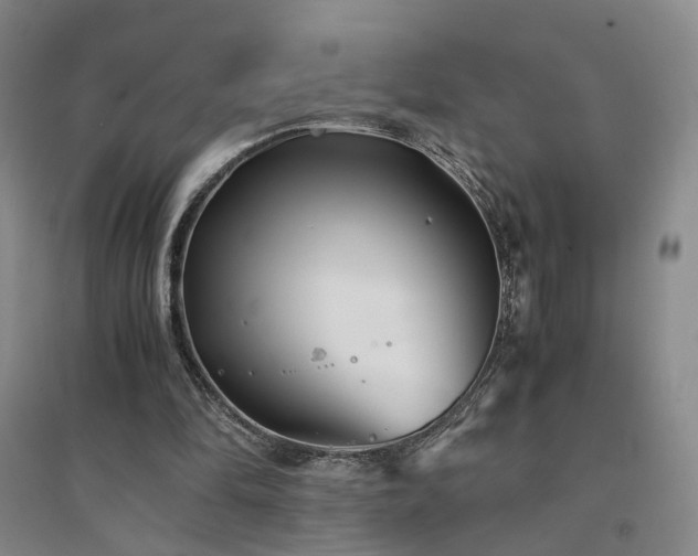 X0000094430294200711151348