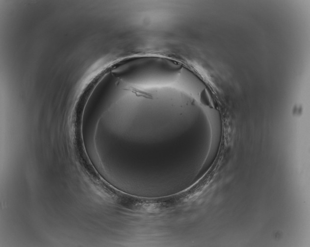 X0000094430295200711151348