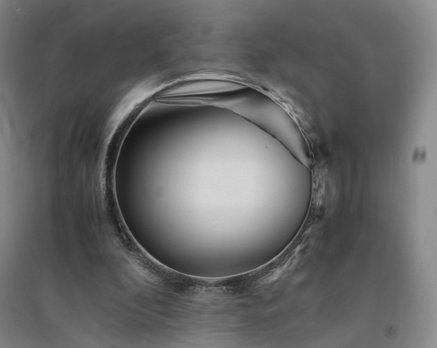 X0000094430296200711151348