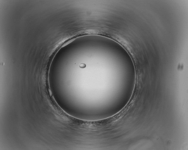 X0000094430297200711151348