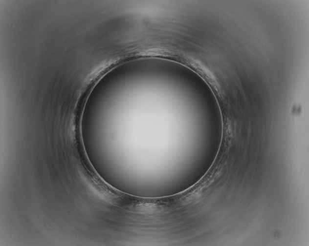 X0000094430298200711151348