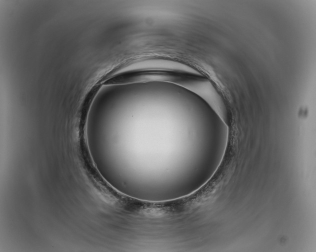 X0000094430299200711151348