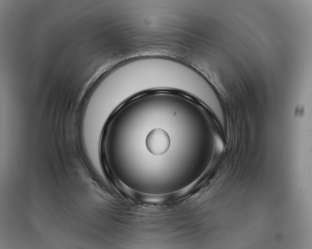 X0000094430300200711151348