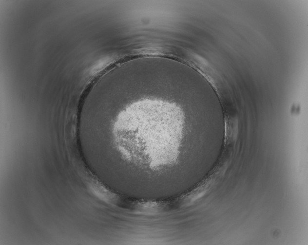 X0000094430301200711151348