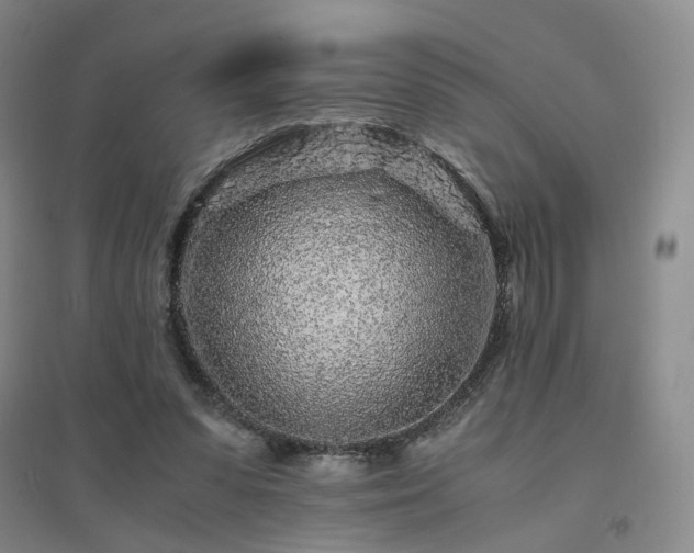 X0000094430303200711151348