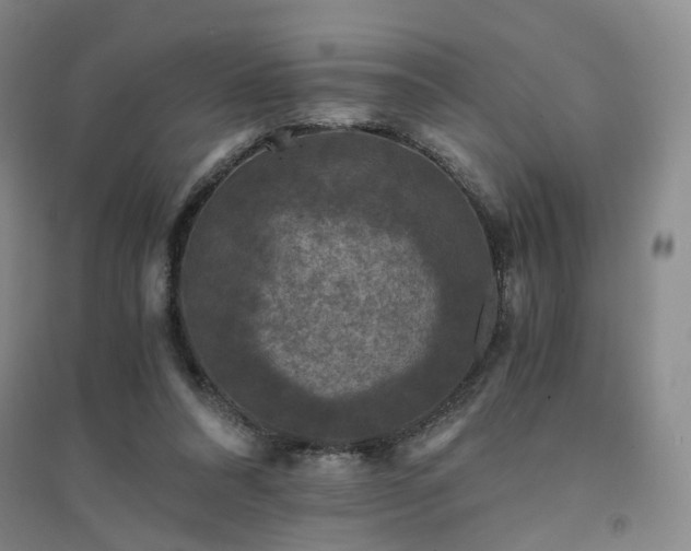 X0000094430304200711151348