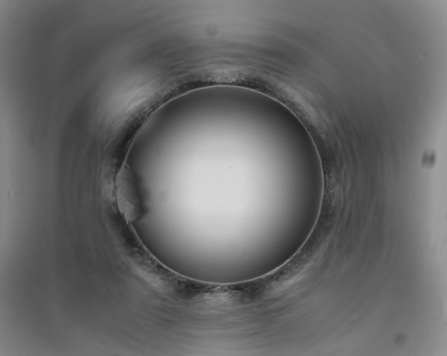 X0000094430307200711151348