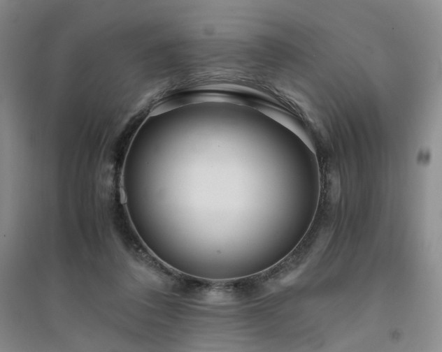 X0000094430308200711151348