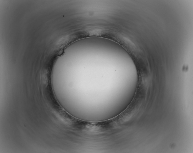 X0000094430311200711151348