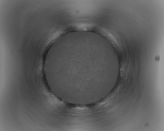 X0000094430314200711151348