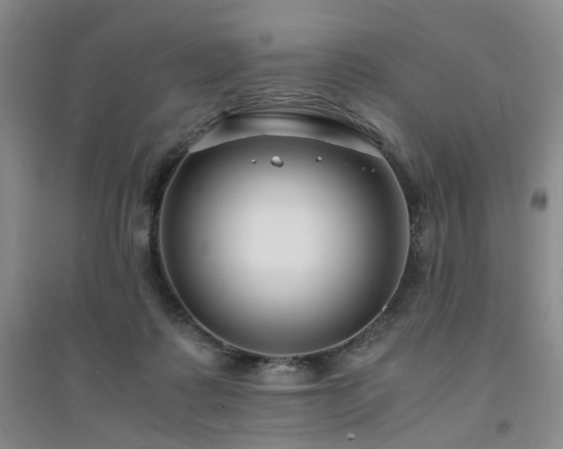 X0000094430315200711151348