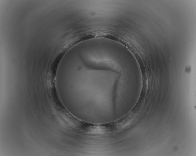 X0000094430316200711151348