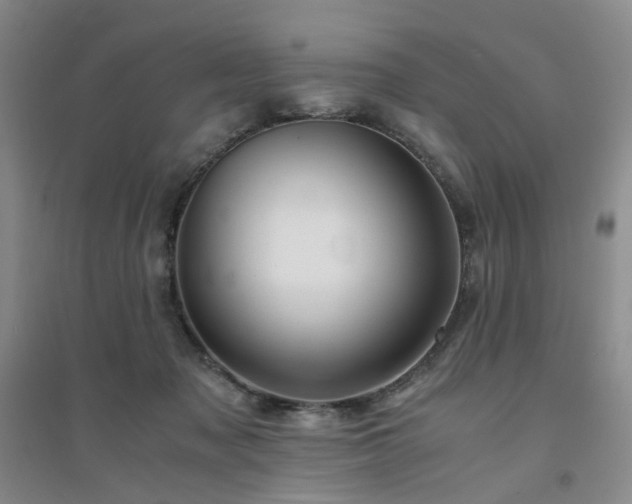 X0000094430317200711151348