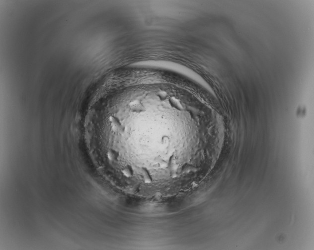 X0000094430319200711151348