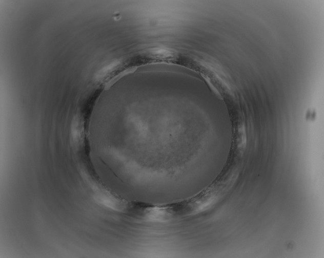 X0000094430320200711151348