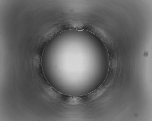 X0000094430321200711151348