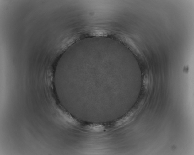 X0000094430322200711151348