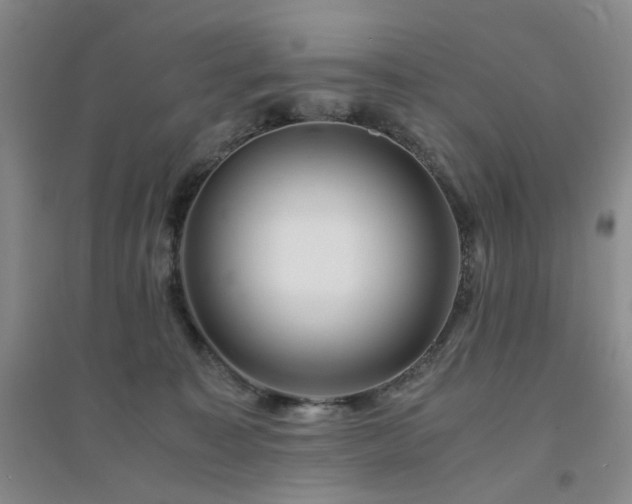 X0000094430323200711151347