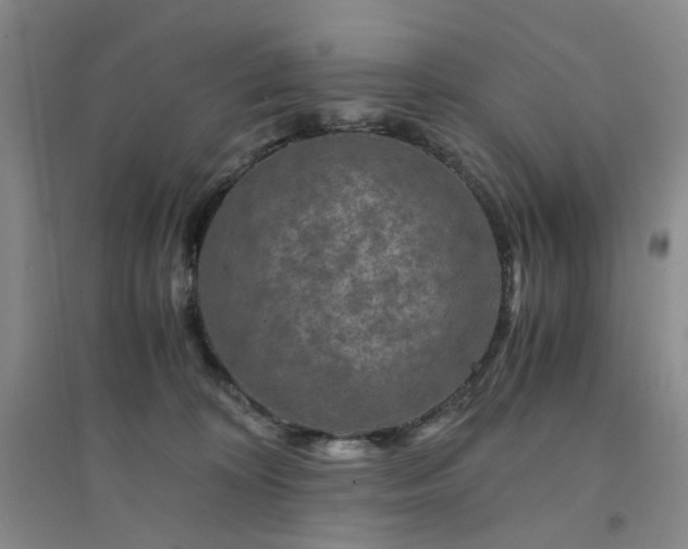 X0000094430324200711151347