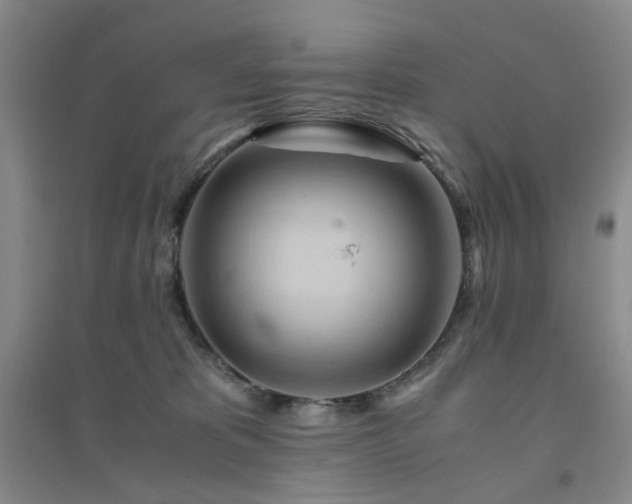 X0000094430325200711151347