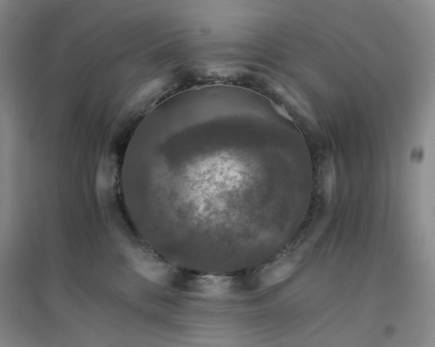 X0000094430328200711151347