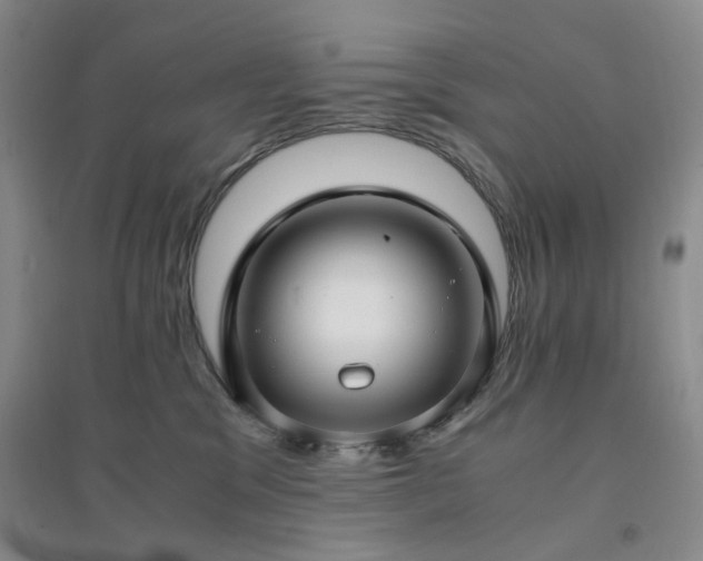 X0000094430329200711151347