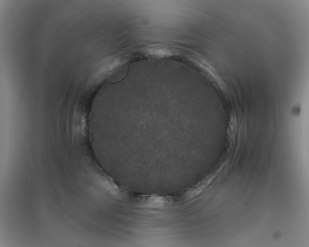 X0000094430330200711151347