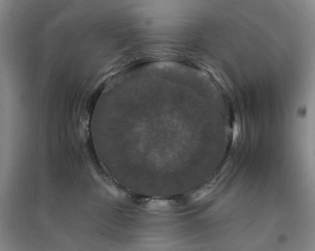 X0000094430332200711151347