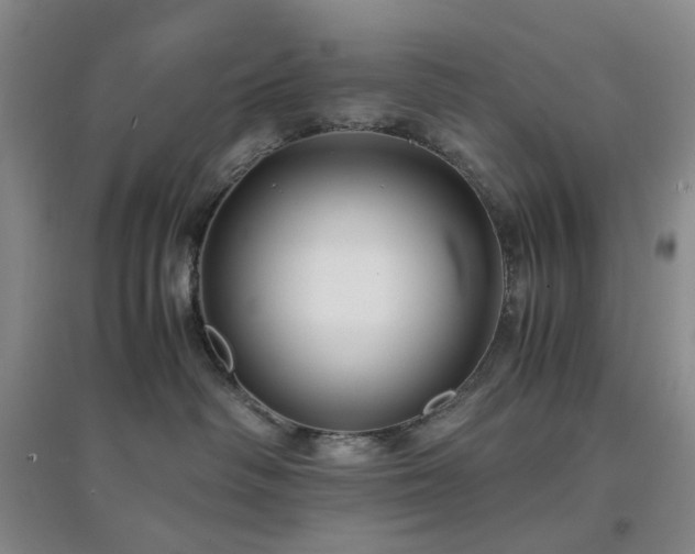 X0000094430334200711151347