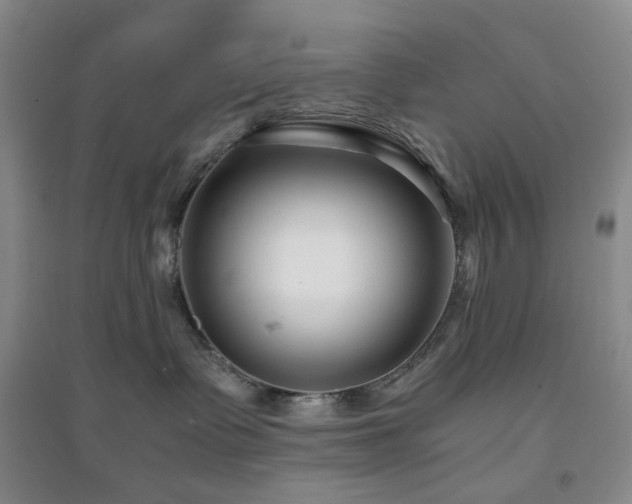 X0000094430335200711151347