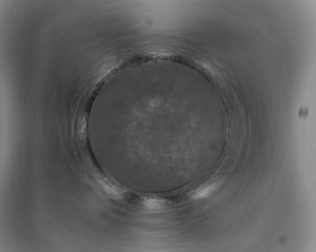 X0000094430336200711151347