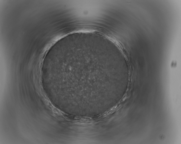 X0000094430337200711151347
