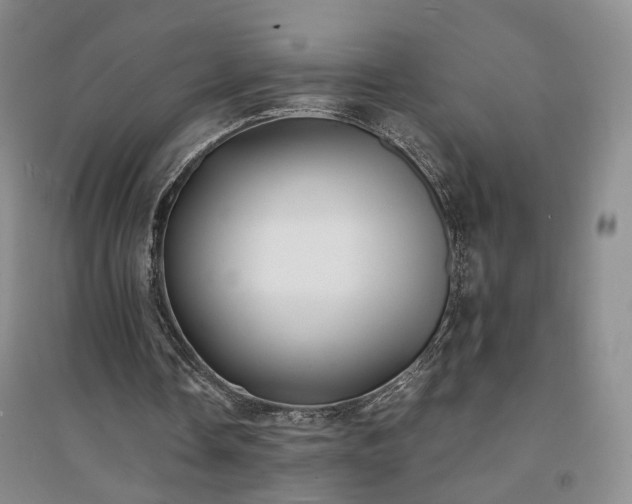 X0000094430338200711151347