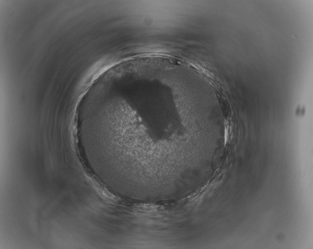 X0000094430339200711151347