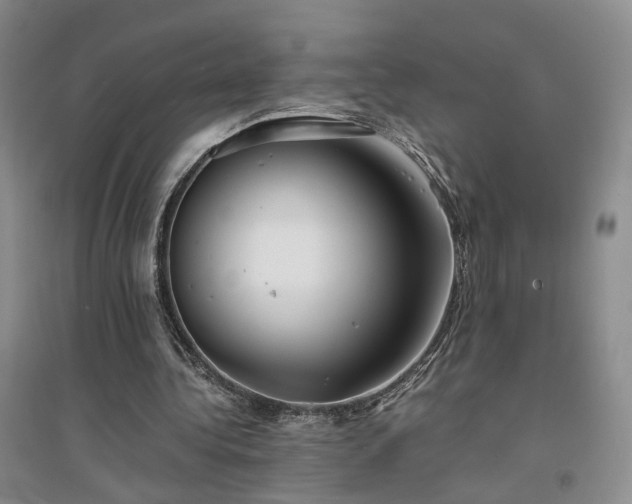X0000094430340200711151347