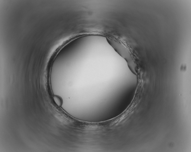 X0000094430342200711151347