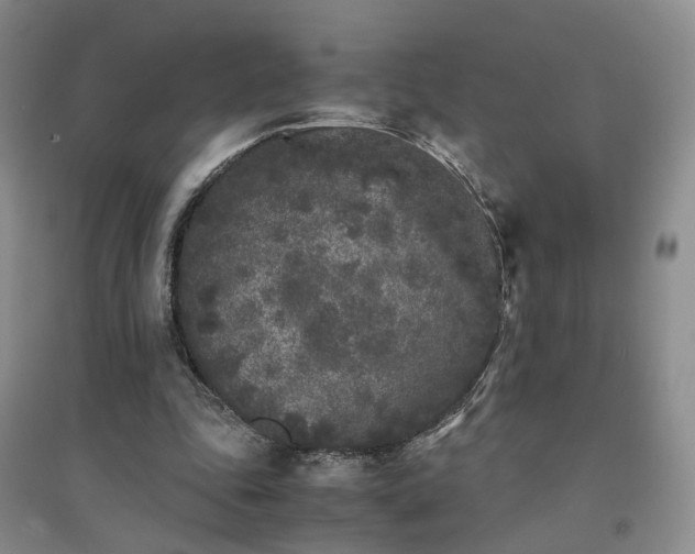 X0000094430343200711151347