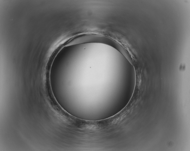 X0000094430344200711151347